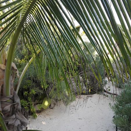 Eco Lodge Hotel Villa Tulum Exteriér fotografie