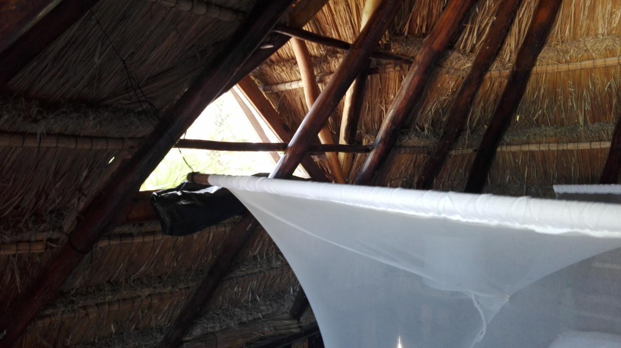 Eco Lodge Hotel Villa Tulum Exteriér fotografie